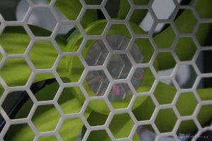 IMG 3548