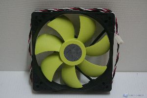 IMG 3555